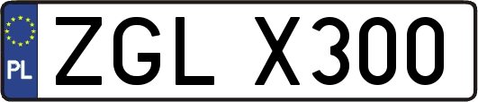 ZGLX300