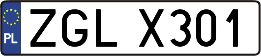 ZGLX301