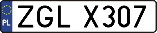 ZGLX307