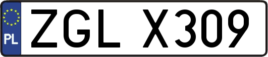ZGLX309