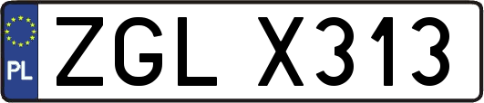 ZGLX313