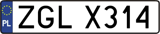 ZGLX314