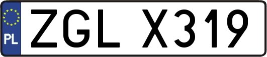 ZGLX319