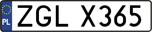ZGLX365