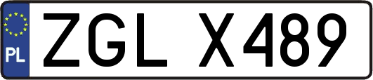 ZGLX489