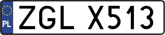 ZGLX513