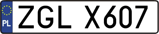 ZGLX607