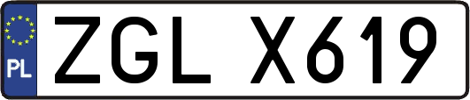 ZGLX619