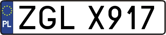ZGLX917