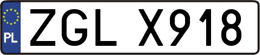 ZGLX918
