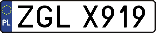 ZGLX919