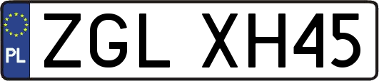 ZGLXH45