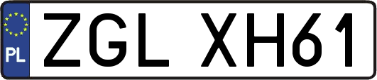 ZGLXH61