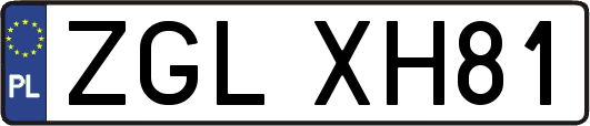 ZGLXH81