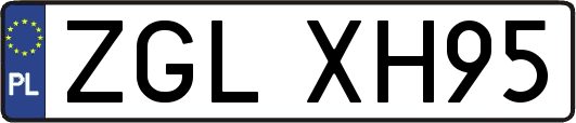 ZGLXH95