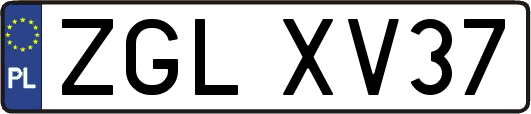 ZGLXV37