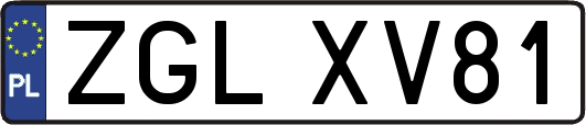 ZGLXV81