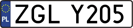 ZGLY205
