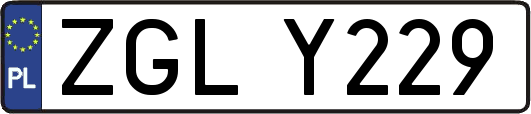 ZGLY229