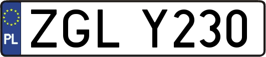 ZGLY230