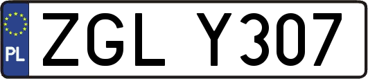 ZGLY307