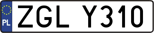 ZGLY310