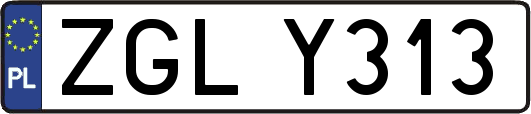ZGLY313
