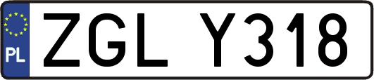 ZGLY318