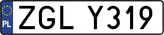 ZGLY319