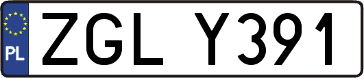 ZGLY391