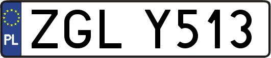 ZGLY513
