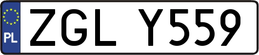 ZGLY559