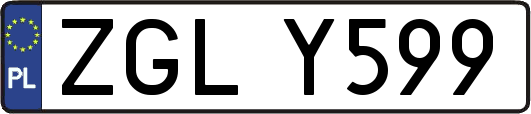 ZGLY599