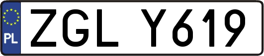 ZGLY619