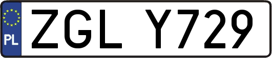 ZGLY729