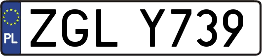 ZGLY739
