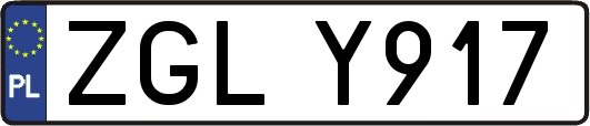 ZGLY917