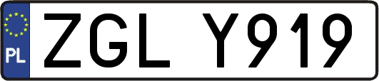 ZGLY919