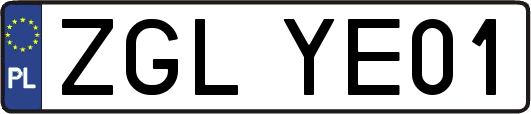 ZGLYE01