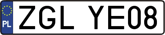 ZGLYE08