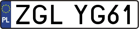 ZGLYG61