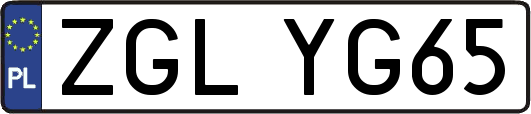ZGLYG65