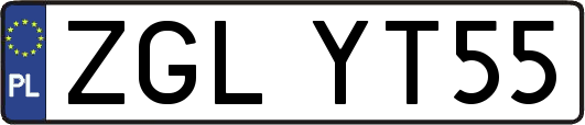 ZGLYT55