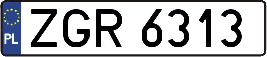 ZGR6313