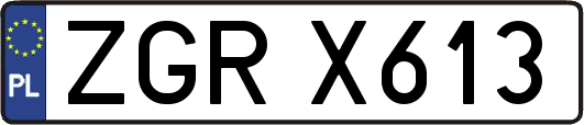 ZGRX613