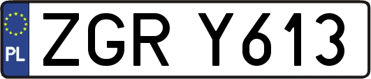 ZGRY613