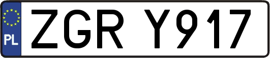 ZGRY917