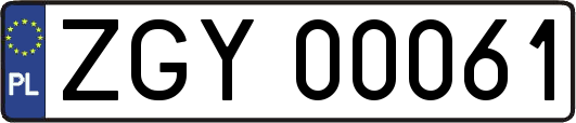 ZGY00061