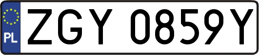 ZGY0859Y