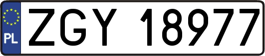 ZGY18977